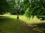 Festa di chiusura 2016 087.jpg